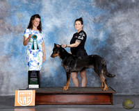 Ashley Allstun UKC Longview TX Aug 2025