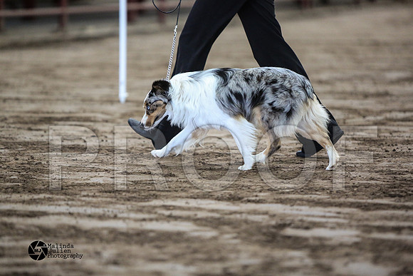 MJ2_0682-WacoFeb14-HR