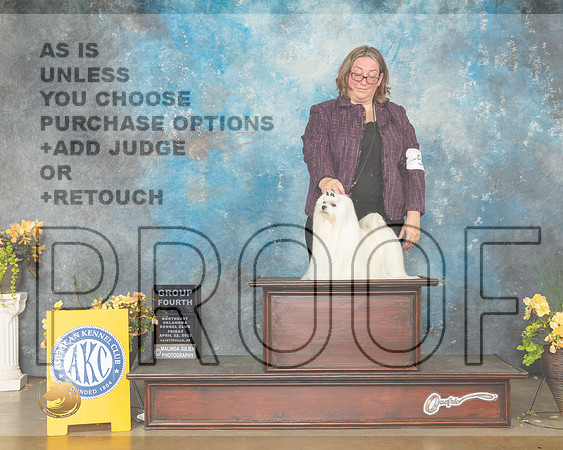 Maltese #5 Fri G4 Judge Betty Pollock-MMJ_9881-NWARK2022-HR3