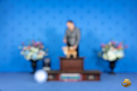 Chihuahua #20 SAT WB BOW M Judge Angela Pickett