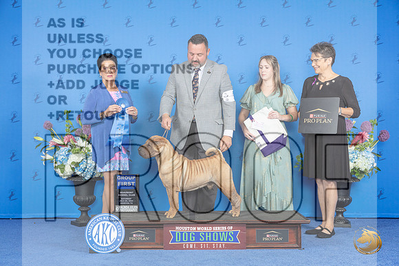 Chinese Shar Pei #5 SAT G1 Judge Douglas Freeman__JP_0003_Houston_2024_HR3