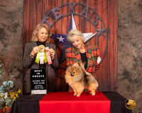 Pomeranian #7 Sat BiSweeps Judge Pamela Wilson