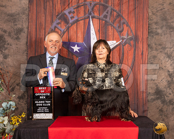 Cavalier King Charles Spaniel #10 Sat BOS Judge Rodney Merry__SR_4040-AustinToy2019-HR3