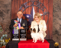 Papillon #22 Sat WB Judge Rodney Merry