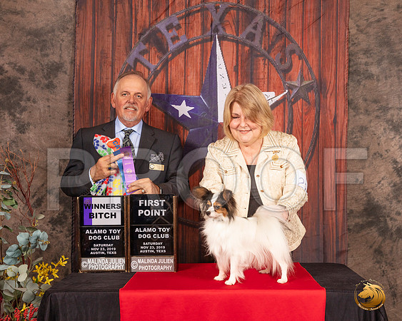 Papillon #22 Sat WB Judge Rodney Merry__SR_4052-AustinToy2019-HR3-2