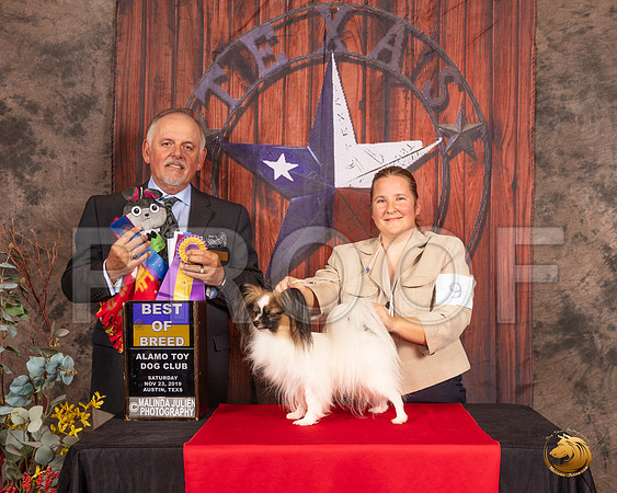 Papillon #9 Sat BOB Judge Rodney Merry__SR_4049-AustinToy2019-HR3