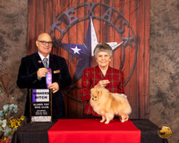 Pomeranian #6 Sat WB Judge Bradley Jenkins