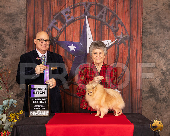 Pomeranian #6 Sat WB Judge Bradley Jenkins__SR_4065-AustinToy2019-HR3