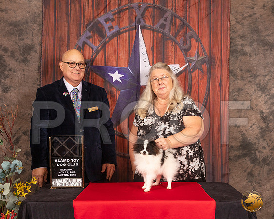 Pomeranian #8 Just because Judge Bradley Jenkins__SR_4069-AustinToy2019-HR3