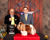 Cavalier King Charles Spaniel #21 Sat G3 Judge Bradley Jenkins