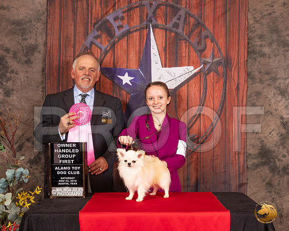 Chihuahua Long Coat #9 Sat OHG1 Judge Rodney Merry__SR_4108-AustinToy2019-HR3