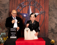 Maltese #9 Sat G4 Judge Bradley Jenkins