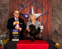 Poodle Toy #27 Sat BOB Judge Bradley Jenkins