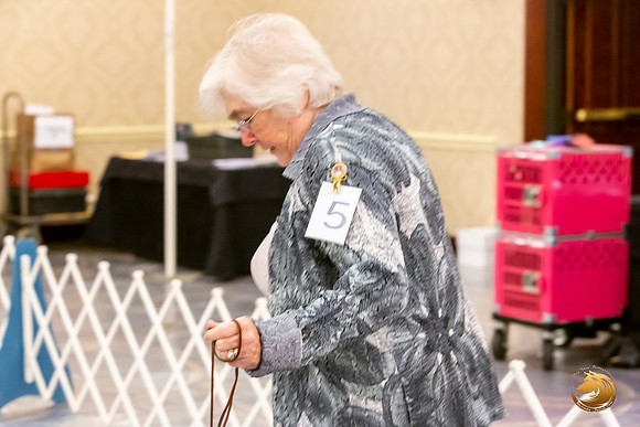 Papillion #5 Sat Ring Sonja Asido_JJL_8676-AustinToy2019-HR3