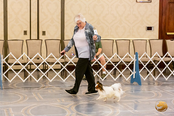 Papillion #5 Sat Ring Sonja Asido_JJL_8680-AustinToy2019-HR3
