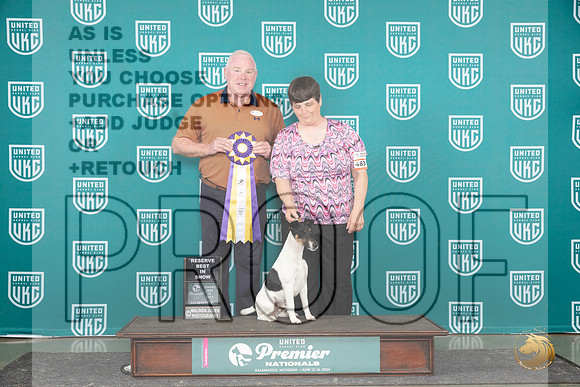 Smooth Fox Terrier # Sun BIS Judge Rick Gann__JP_3487_Premier_2024_HR3