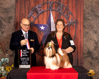 Shih Tzu #16 Sat BOS Maj NCh  Judge Bradley Jenkins
