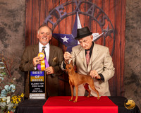 Miniature Pinscher #7 Sun BOB Judge Rodney Merry