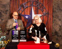 Cavalier King Charles Spaniel #7 Sun WD Maj Judge Bradley Jenkins