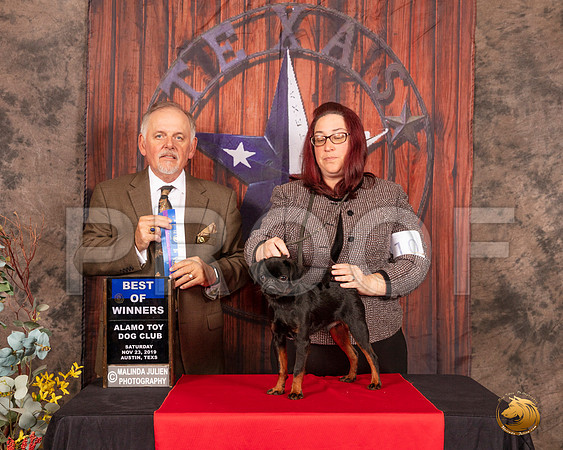 Brussels Griffon #5 Sun BOW  Judge Rodney Merry__SR_4233-AustinToy2019-HR3