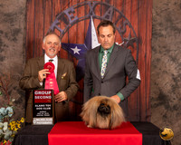 Pekingese #5 Sun G2 Judge Rodney Merry
