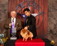 Pomeranian #10 Sun WB Judge Rodney Merry