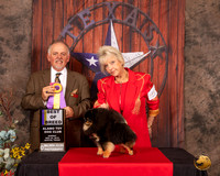 Pomeranian #5 Sun BOB Judge Rodney Merry