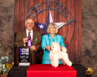 Poodle Toy #25 Sun WD Maj  Judge Rodney Merry