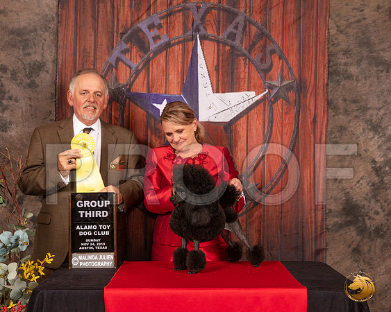 Poodle Toy #42 Sun G3 Judge Rodney Merry__SR_4250-AustinToy2019-HR3