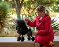 Poodle Toy Tiffany Ad