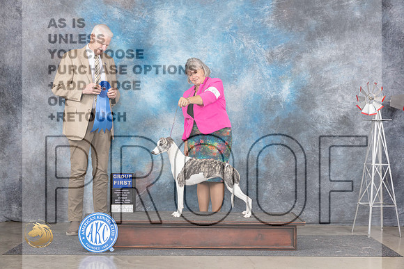 Whippet #6 Sun G1 Judge Jon Cole__JP_6582_Amarillo_2024_HR3