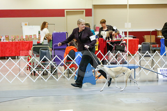 _JJ_4092-AmarilloSept2014-HR3