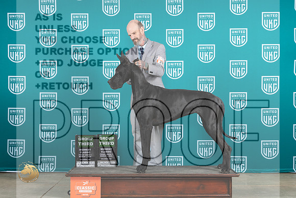 Great Dane #297 Fri1 G3 Judge Brenda Landers__JP_0706_UKCMWC2024_HR3