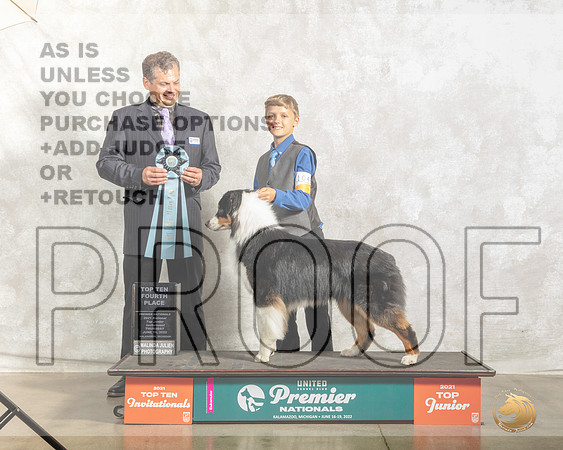 Australian Shepherd #1046 Thur Top10Jr4th Judge Antonio Raposo__MJ_7589_Premier_2022_HR3