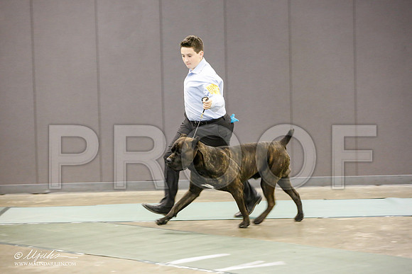 _JN_1360-BeltonJan2015-HR3
