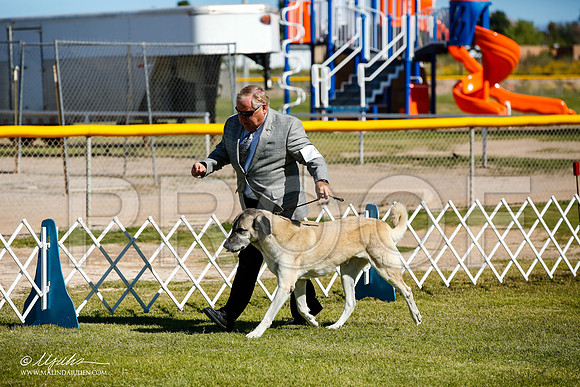 _JJ_9793-AlamogordoOct2014-HR3