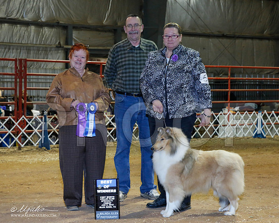 _RH_8633-2-GlenRoseJan2015-HR3