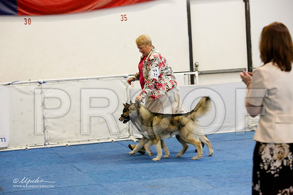 _M3_1643-AddisonHuskyMar2015-HR3