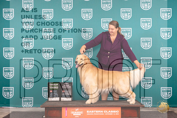 Golden Retriever #192 Sat G3 Judge Kathryn Baxter__JP_2089_UKCEastern_2024_HR3