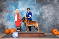 Belgion Malinois #5 Sun G4 Judge Jan Paulk