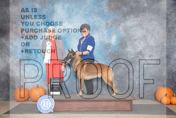 Belgion Malinois #5 Sun G4 Judge Jan Paulk__JP_9571_Humble_2024_HR3