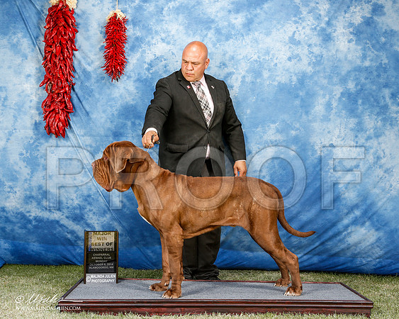 _ST_3763-2-AlamogordoOct2014-HR3