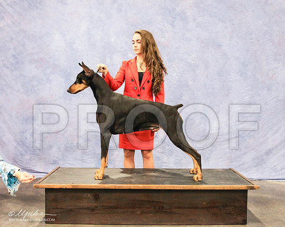 Dobe-6402 PROOF