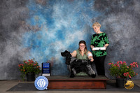 English Cocker G1 Sat Judge Wendy G Willhauck