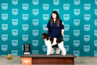 Poodle Std MC #407 Sat2 PBOB Judge Joe Allen