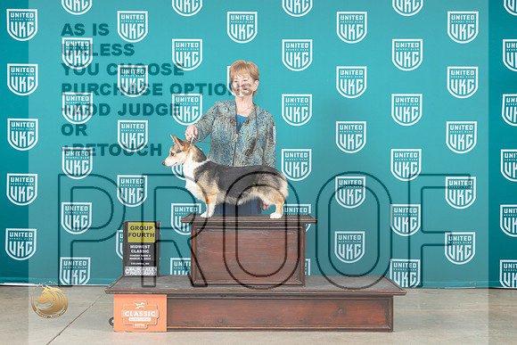 Pembroke Welsh Corgi #108 Sat2 BOBG4 Judge Brenda Landers__JP_0951_UKCMWC2024_HR3