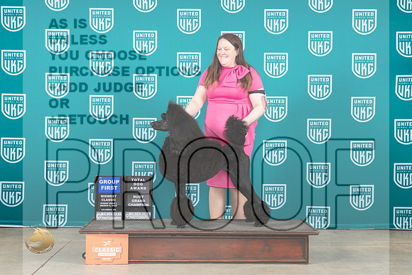Poodle Std #148 Sun G1TD Judge Jennifer Landers__JP_1106_UKCMWC2024_HR3