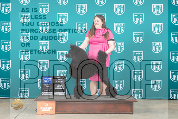 Poodle Std #148 Sun G1TD Judge Jennifer Landers__JP_1107_UKCMWC2024_HR3