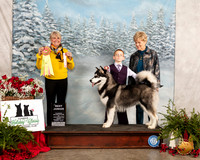 Alaskan Malamute #J407 Fri BJr Judge Debra L Thornton