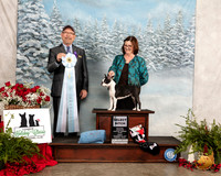 Boston Terrier #10 Fri SB Judge Tim Robbins